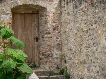 An old wooden gate in a stony wall with plants and a rustic atmosphere, Dürnstein, Wachau, Danube,