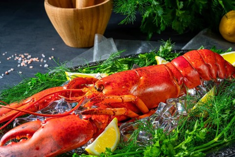 The cooked lobster on ice