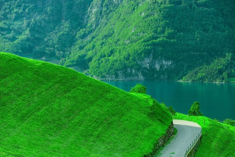 Country road on the side of a green grassy hill, with the lake and swiss forest in the background.
