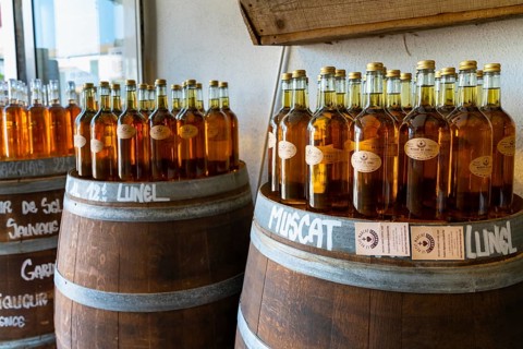 Saintes-Maries-de-la-Mer, France, 4 March, 2023: close-up view of many bottles of Muscatel wine