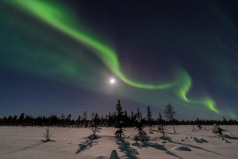 Northern Lights (Aurora borealis) over a moonlit winter landscape, Norrbotten, Lapland, Sweden,