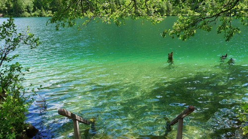 Emerald-green Lake Thumsee in Berchtesgaden National Park