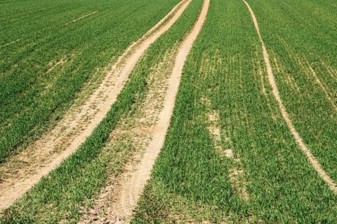 Tractor tracks, agricultural trails at a cultivated field in springtime, farmland near Wesertal,