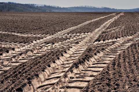Tractor tracks, agricultural trails at a cultivated field in springtime, farmland near Wesertal,