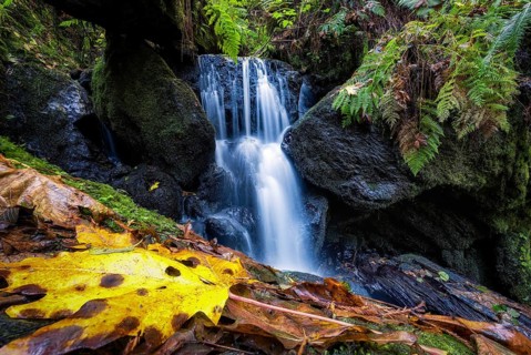 Trillium Falls, Orick, California, Color Image, Day