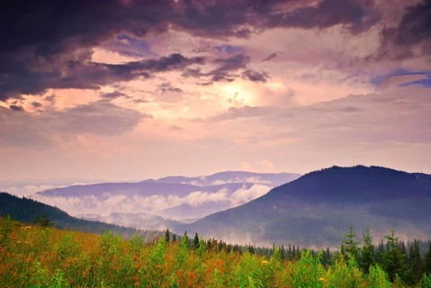 Landscape with fog in mountains and rows of trees