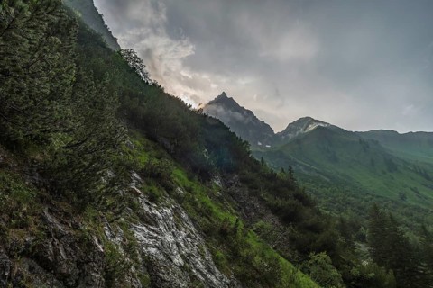 Beautiful mountain hike on the Great Widderstein in the Allgau Alps in the Kleinwalsertal