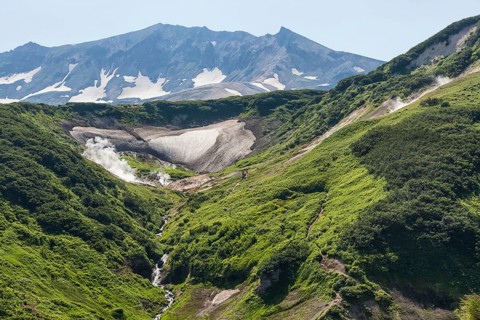 Flora of Kamchatka. Forests and fields. Nature of Kamchatka. Landscapes and magnificent views of