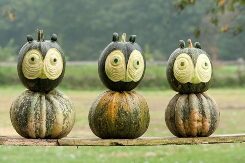 Three green pumpkins with funny carved faces on wooden slats, borken, münsterland, germany
