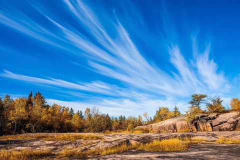 Walk on the park in warm silent day. The concept of ecological and recreational tourism. Cirrus