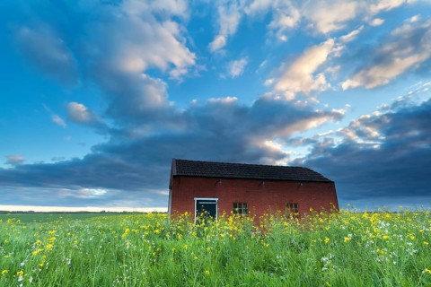 Farmhouse on flowering meadow at sunset