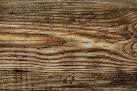 Wood texture of treated pine bright colour