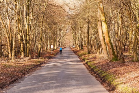 Exercise on a winter's day