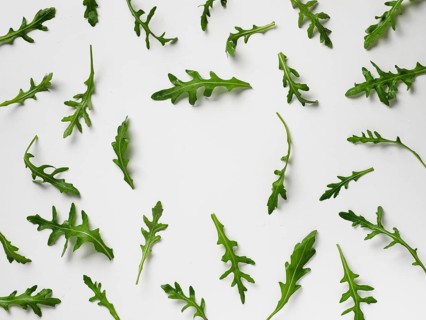 Arugula pattern with copy space in center. Arugula isolated on white backgrund. Frame made of