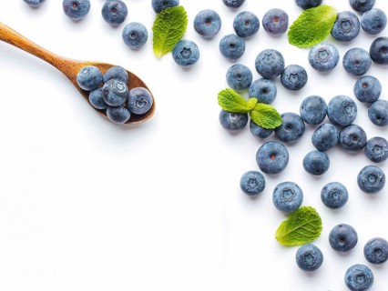 Blueberries isolated on white background. Blueberry border design. Ripe and juicy fresh picked