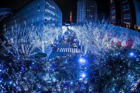 Christmas illuminations of Roppongi image. Shooting Location: Tokyo metropolitan area