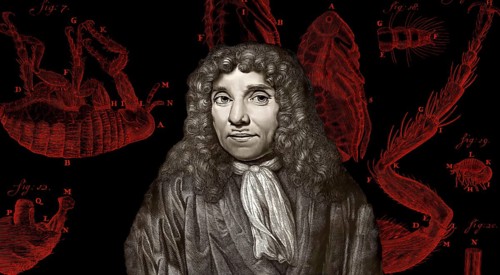 Antonie Philips van Leeuwenhoek, 1632 – 1723, a Dutch microbiologist and microscopist