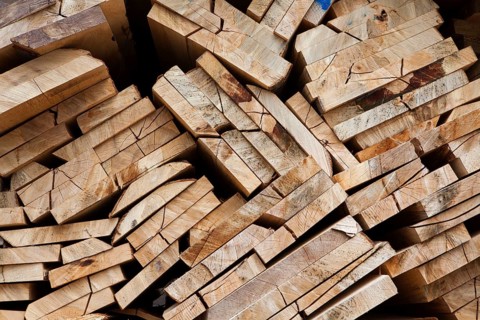 Pile of beech wood, Germany, Europe