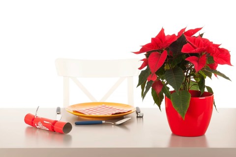 Loneliness in Christmas time