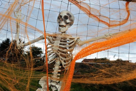 Skeleton