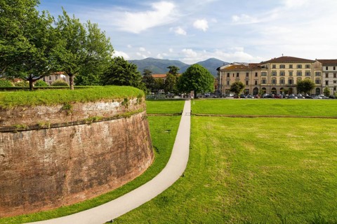 Historic town wall in Lucca, Tuscany, Italy, Europe