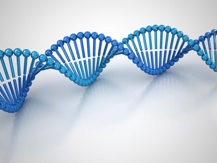DNA Molecular Structure