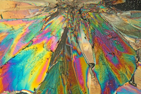 Sugar crystals under the microscope and in polarised light