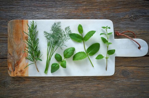 Aromatic herbs culinary plants rosemary fennel oregano mint and basil on wood