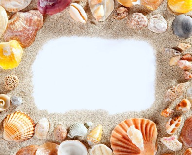 Border frame with summer beach shells and blank copy space paper