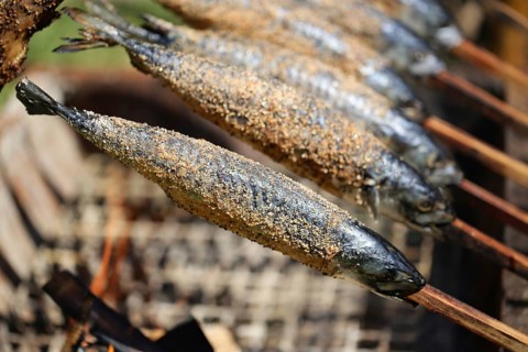 Mackerel Steckerlfisch, roasted mackerel on a wooden stick over a fireplace, medieval market