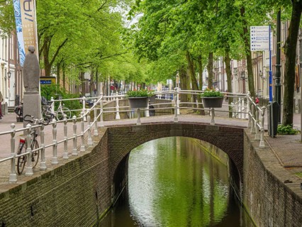 A charming bridge over a canal in a residential area with lush vegetation, delft, the netherlands