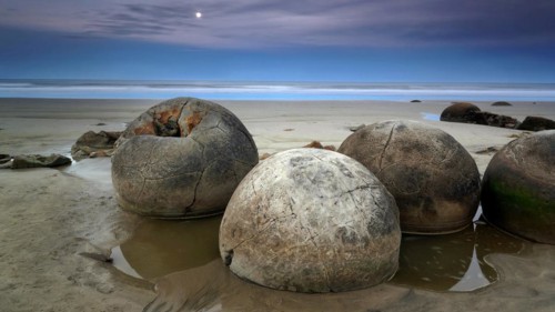 New Zealand, Moeraki Boulders, Otago, Moeraki, stone boulders, South Island, Neuseelamn, Oceania