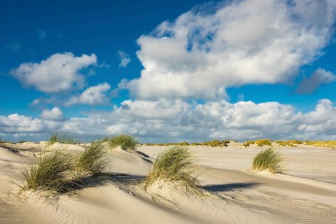 Landscape with dunes on the island of Amrum