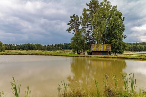 In the east of the district of Tirschenreuth lies a unique pond area, the Tirschenreuther