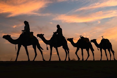 Silhouette of a caravan traveling through the desert at sunrise or sunset. Sahara, Morocco, Africa