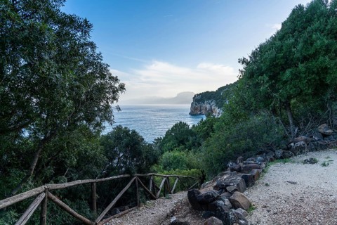 Narrow beach access leading to a secluded beach through forest on the rugged east coast of Sardinia
