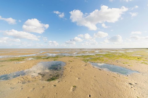 Mudflat or shallow at Dutch wadden sea near Terschelling