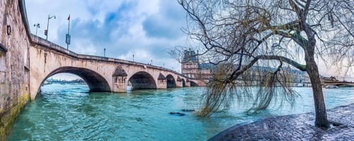 Cloudy day in Paris with a willow on the shore of the Seine River and the bridge Pont Royal, in