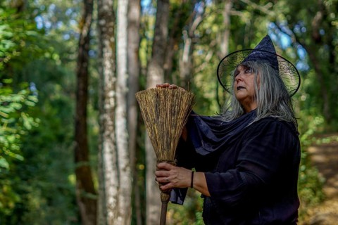 Old witch in black, dressed in black, seen in profile with her broom with a forest in the