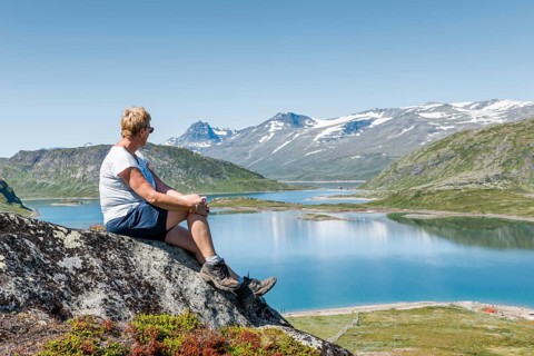 Adult woman sitting on a rock looking over the national park from bitihorn to stavtjedtet with