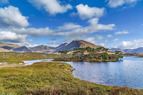 Landscape with lake from Pines Island Viewpoint in Galway county, Ireland, Europe