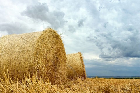 Straw bales on farmland Storm clouds