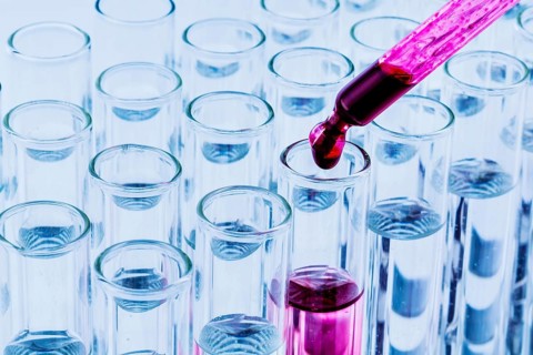Many test tubes during an experiment in a university research laboratory. Symbolic photo for