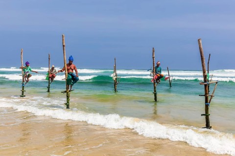 Stilt fishermen, Weligama, Matara District, Southern Province, Sri Lanka, Asia