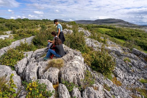 Burren National Park, The Burren, County Clare, Ireland, United Kingdom, Europe