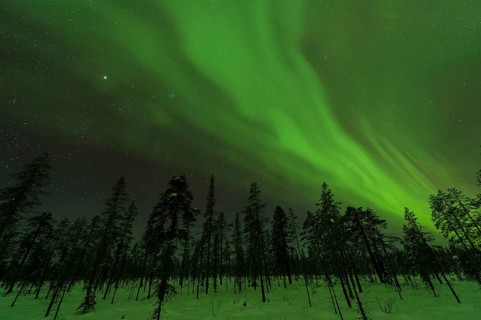 Northern Lights (Aurora borealis) over snowy landscape, Gällivare, Norrbotten, Lapland, Sweden,