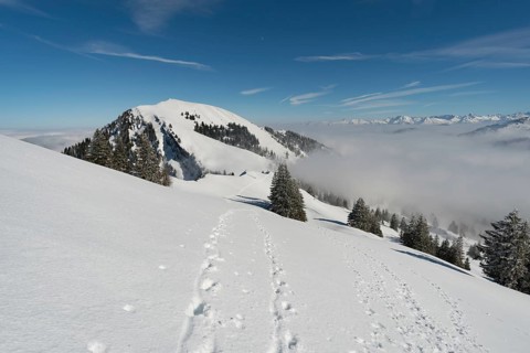 Fantastic snowshoe tour on the Hochgrat at the Nagelfluhkette in Allgau, Bavaria