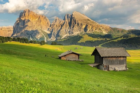 Langkofel Group at Seiser Alm, South Tyrol, Italy, Europe