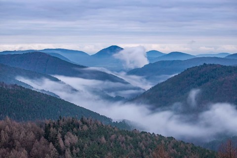 Landscape shot with cloudy sky and fog in the valley. View from a rock in the middle of forest and