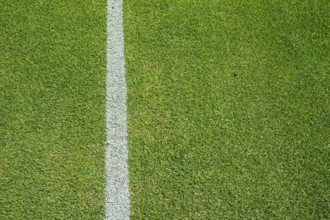 White line on the grass at soccer playing field in Lubin, Poland, Europe